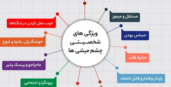 ویژگی های شخصیتی افراد چشم میشی