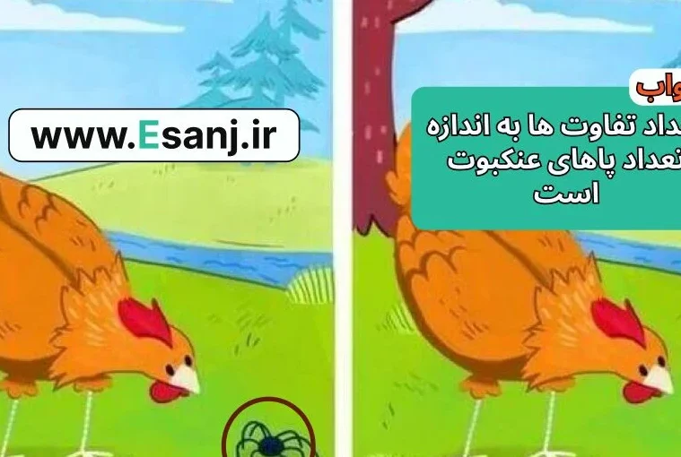 پاسخ پازل پرنده اسیر